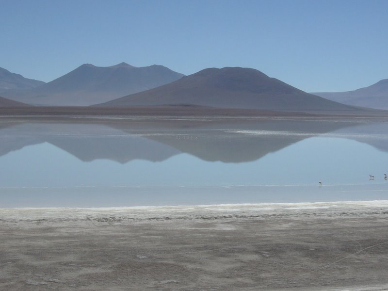 Travel - Bolivia - Salar De Uyuni - Laguna 5